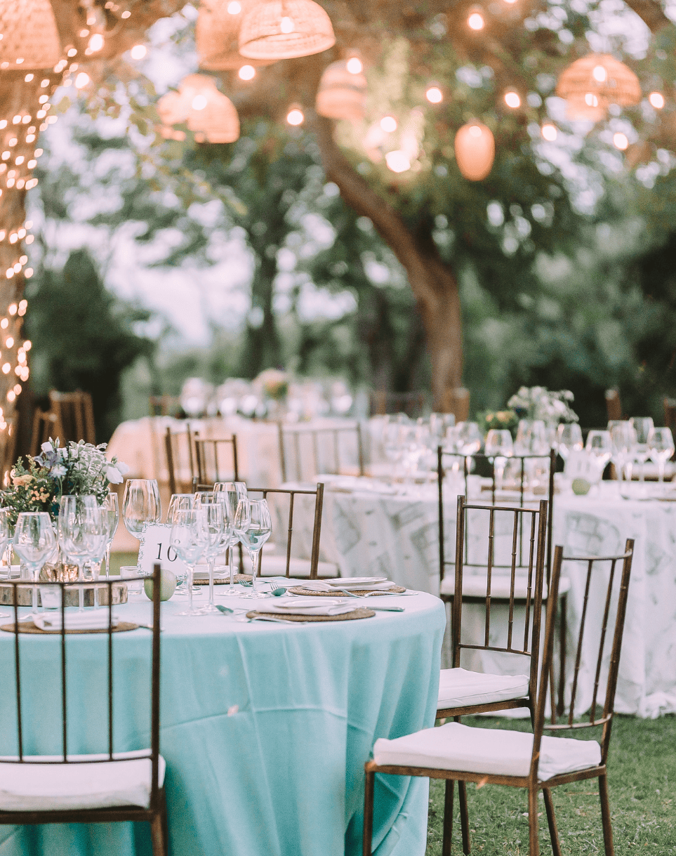 Weddings & Receptions
